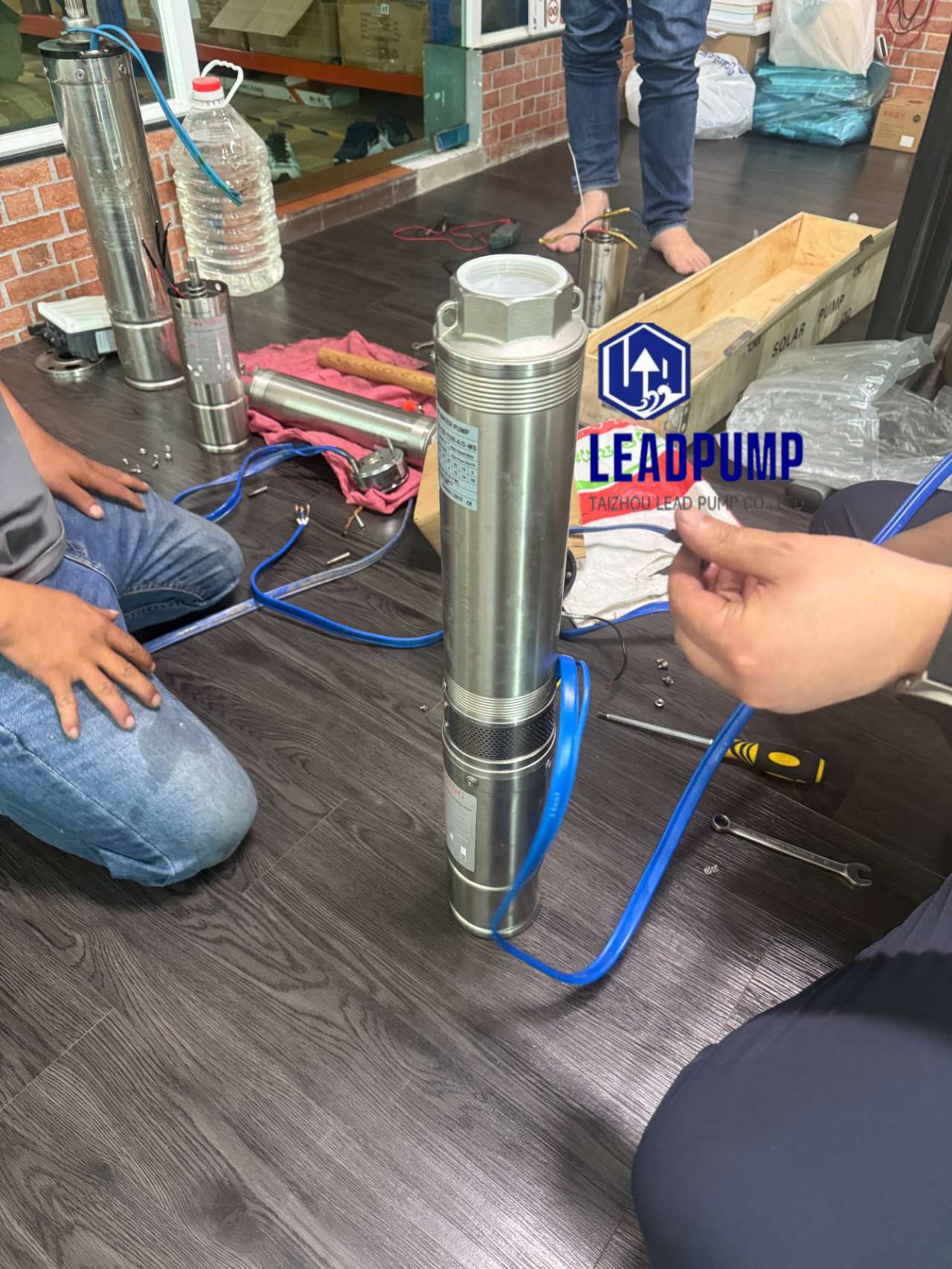 Taizhou Lead Pump CO., Ltd se précipite pour assigner le client en Asie du Sud-Est avec un problème de pompe à eau solaire
